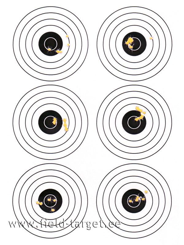 Theoben Evolution TEST - leht